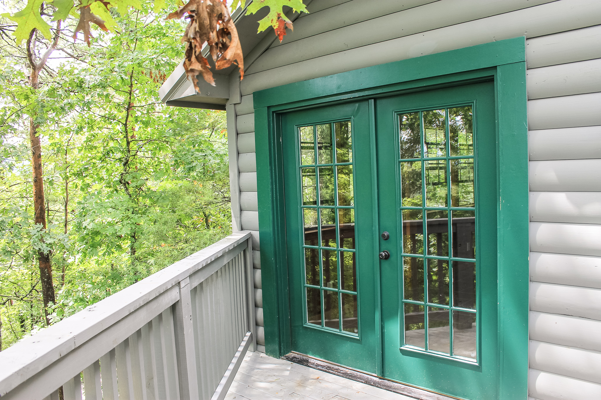 Cabin restoration | painting services
